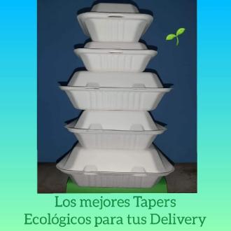 Envases Biodegradables